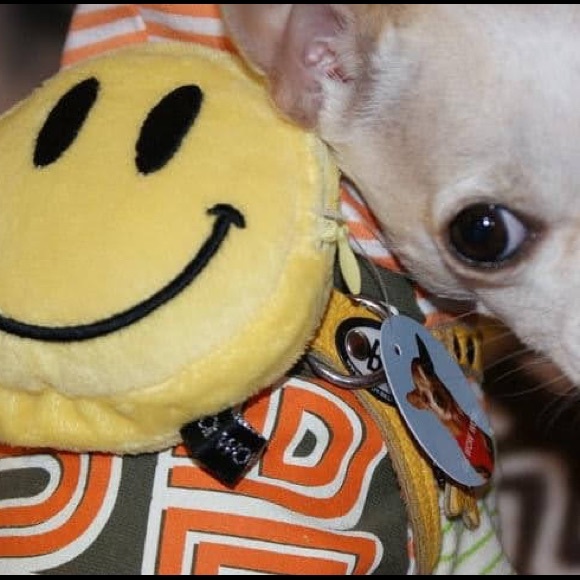 Backpack CWW Girls Rock ChiSkull - Picture 6 of 6